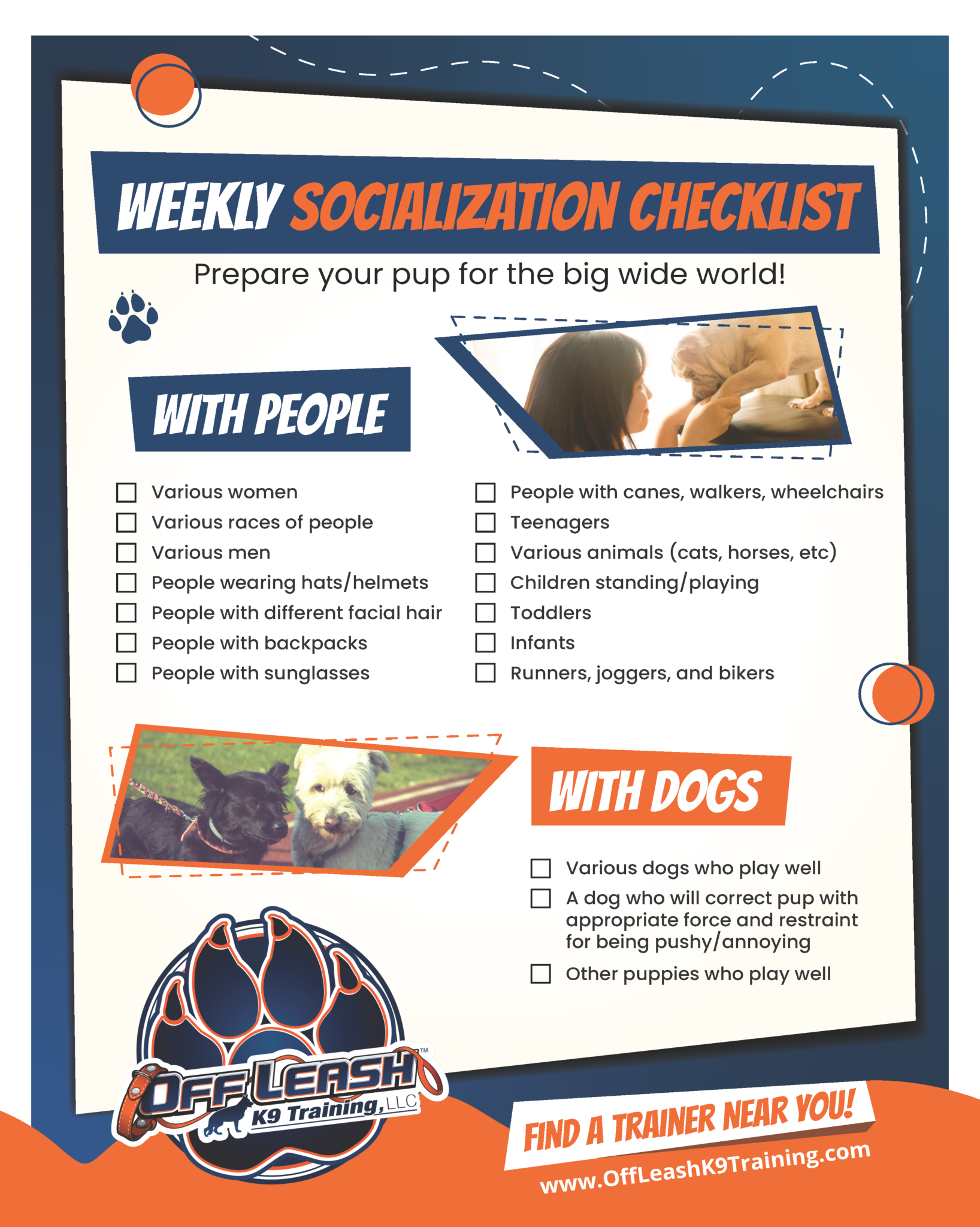 Socializing Your Dog (People/Dogs) Off Leash K9 Training Cincinnati, OH