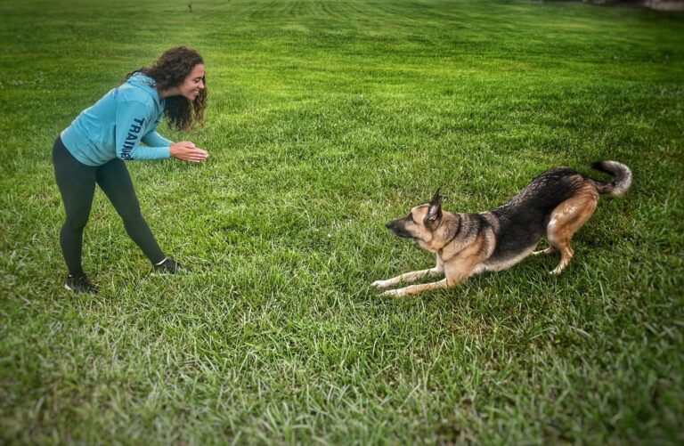 Whitney — Off Leash K9 Training of Cincinnati
