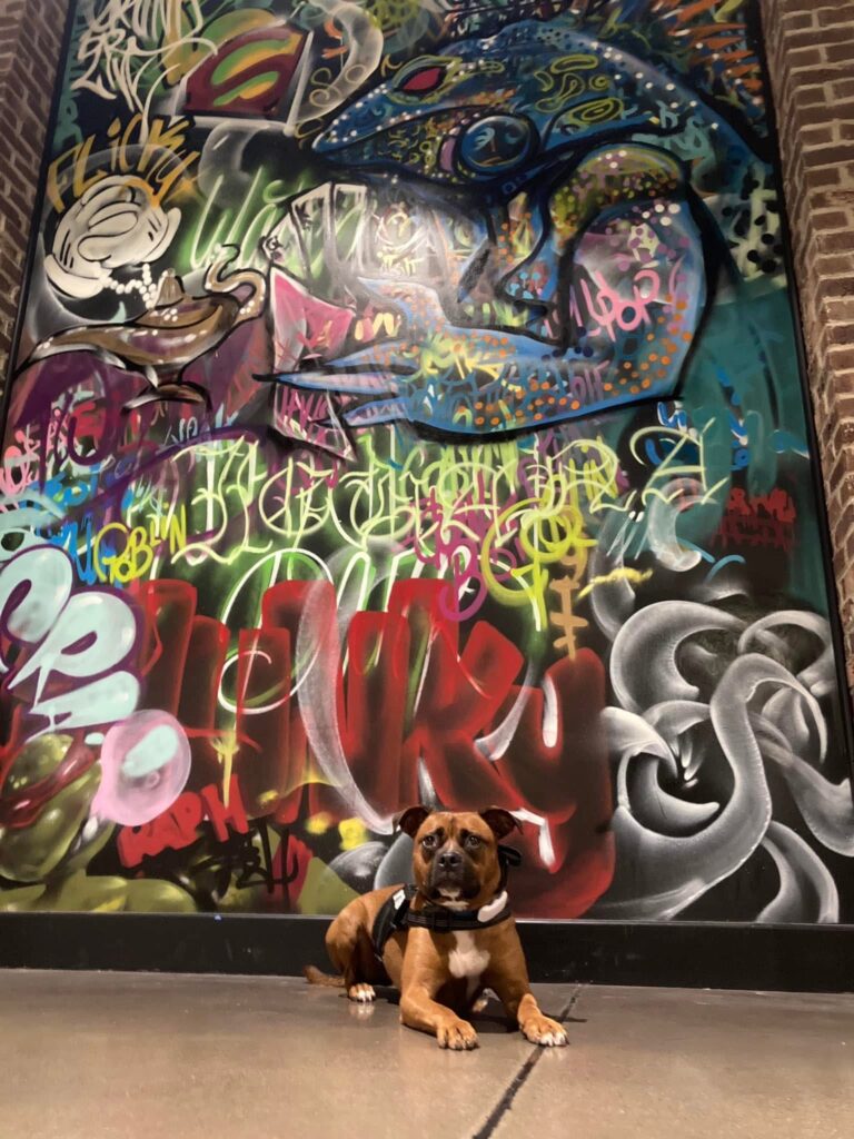 Dog training Blue Ash OH with dog beside colorful wall mural